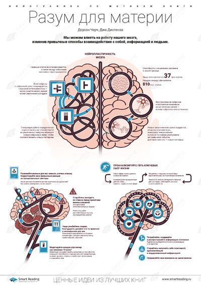 Инфографика для книги «Разум для материи»