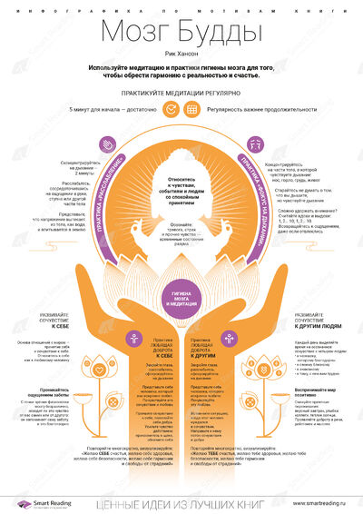 Инфографика для книги «Мозг Будды»