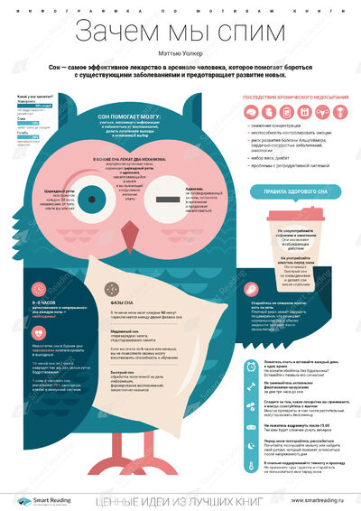 Инфографика для книги «Зачем мы спим»